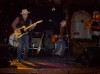 Webb Wilder and the Beatnecks